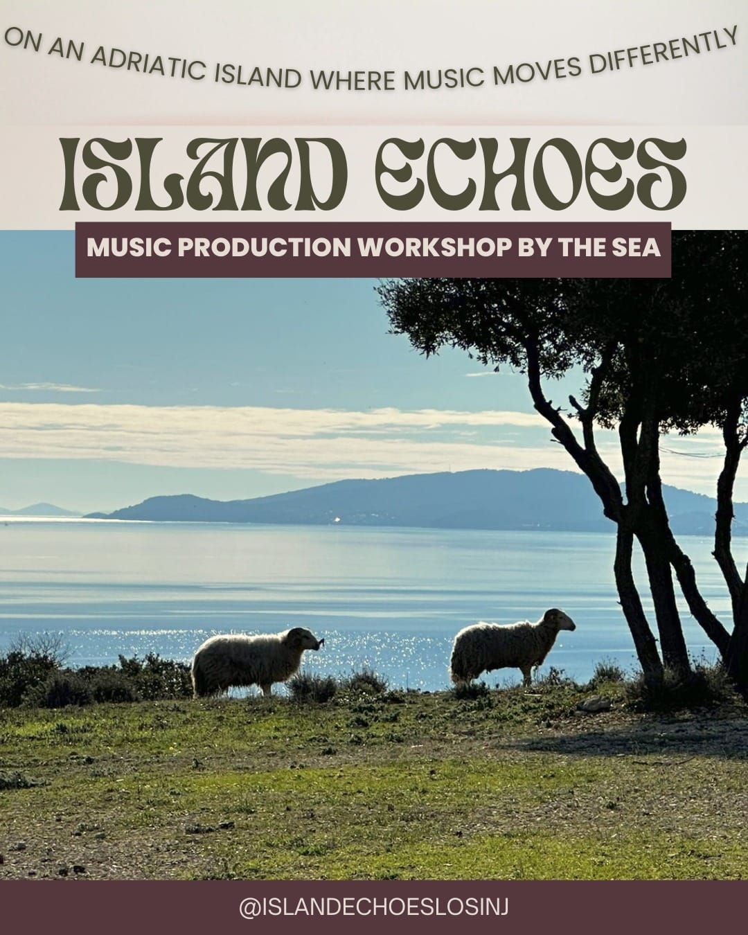 ISLAND ECHOES Cover image