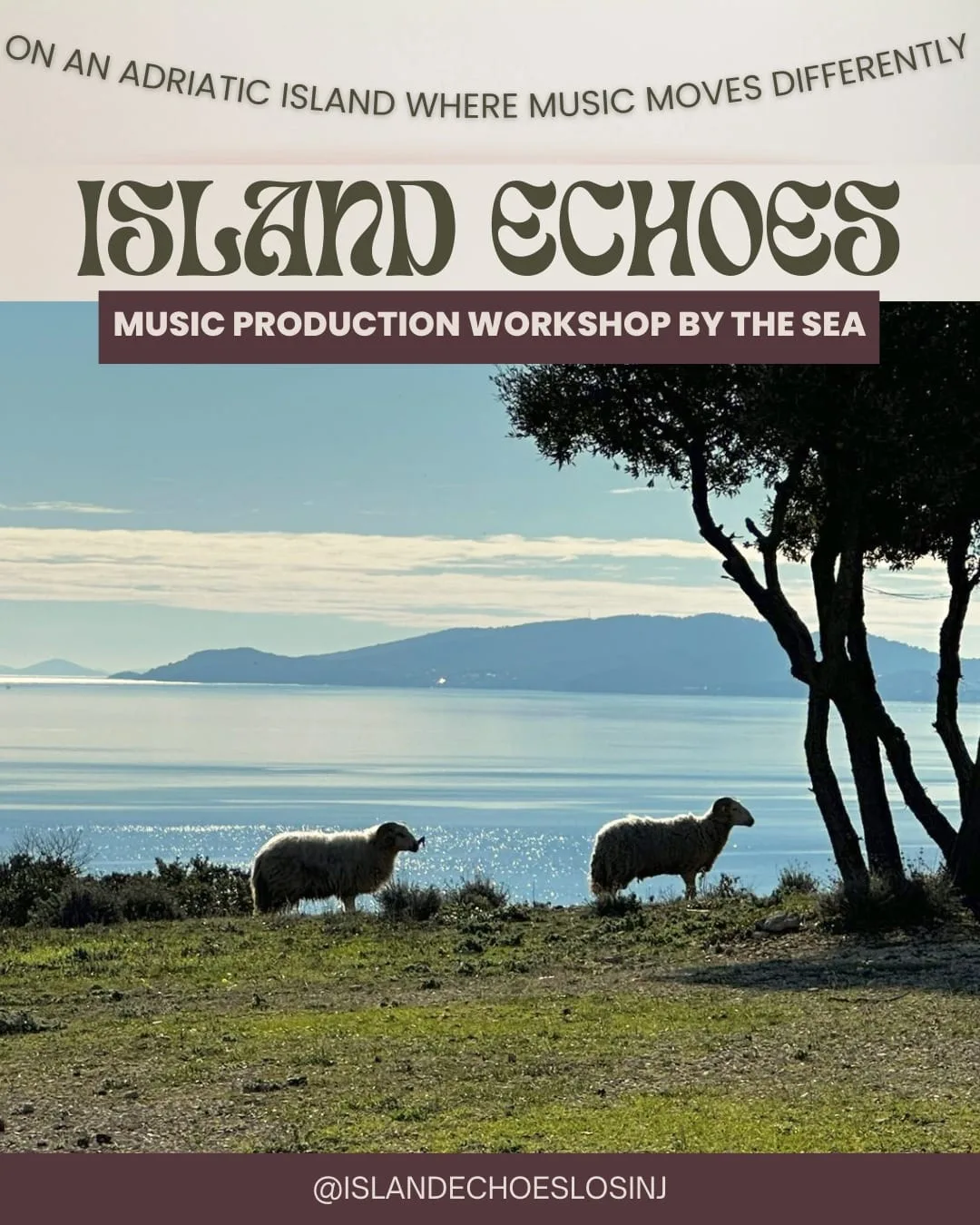 ISLAND ECHOES Cover image